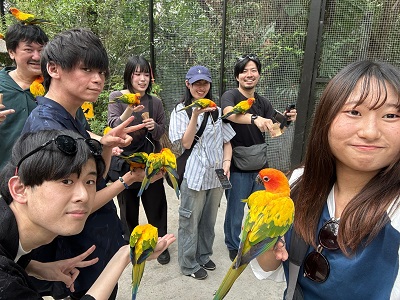 摜łȂ悤ł